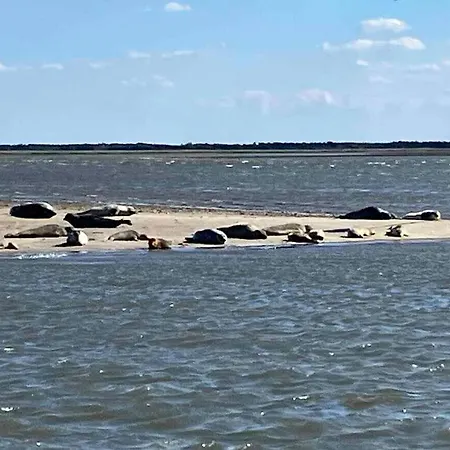 House On Near The Sea Ferienhaus Fanø